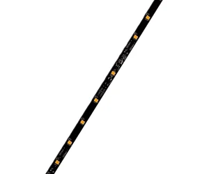 Project Adobe Express Photo